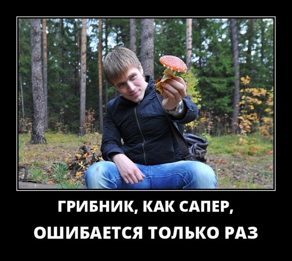 Свежие демотиваторы сентября 2019 года от PAGGY.RU