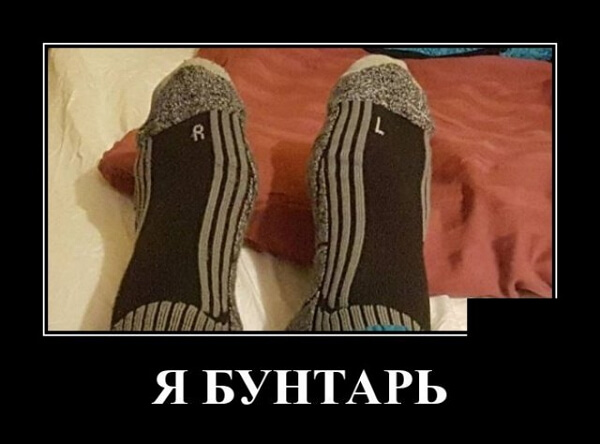 Демотиваторы 2019 года