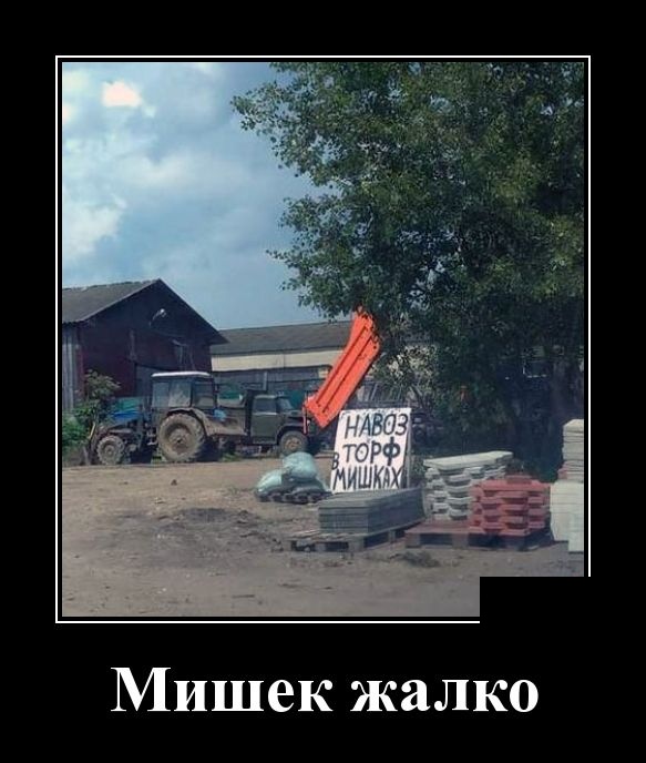 Смешные и очень свежие для 2019 года демотиваторы (30 демок)