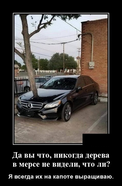 Свежие демотиваторы сентября 2019 года от PAGGY.RU