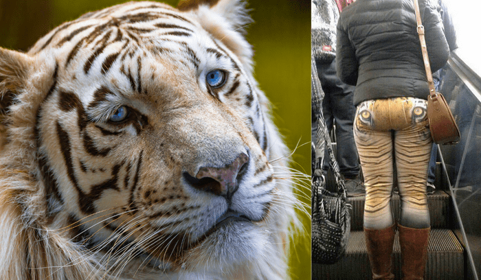 Люди, ставшие жертвами моды (17 фото)