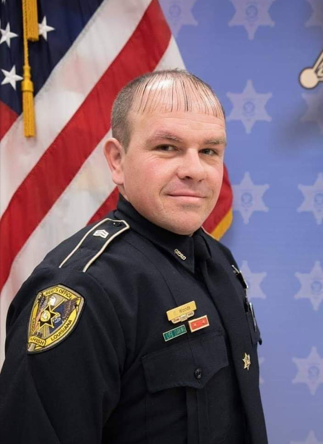 Безжалостный креатив и мастерство парикмахеров (10 фото)