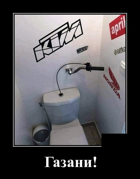 Демотиваторы 2019 года