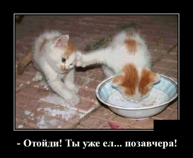 Свежие демотиваторы 19 сентября 2019 (30 картинок с надписями)