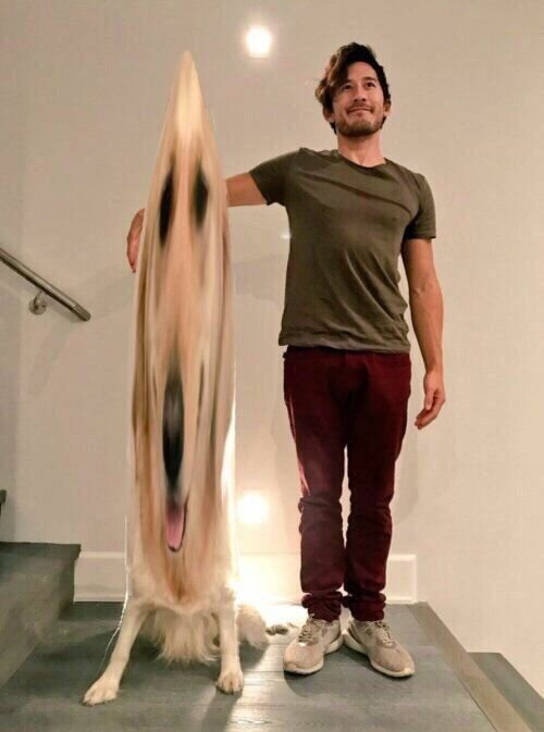 Блогер попросил подписчиков зафотошопить их с собакой, как на картинке, но те устроили смехопанораму (22 фото) Блогер попросил подписчиков зафотошопить их с собакой, как на картинке, но те устроили смехопанораму (22 фото)