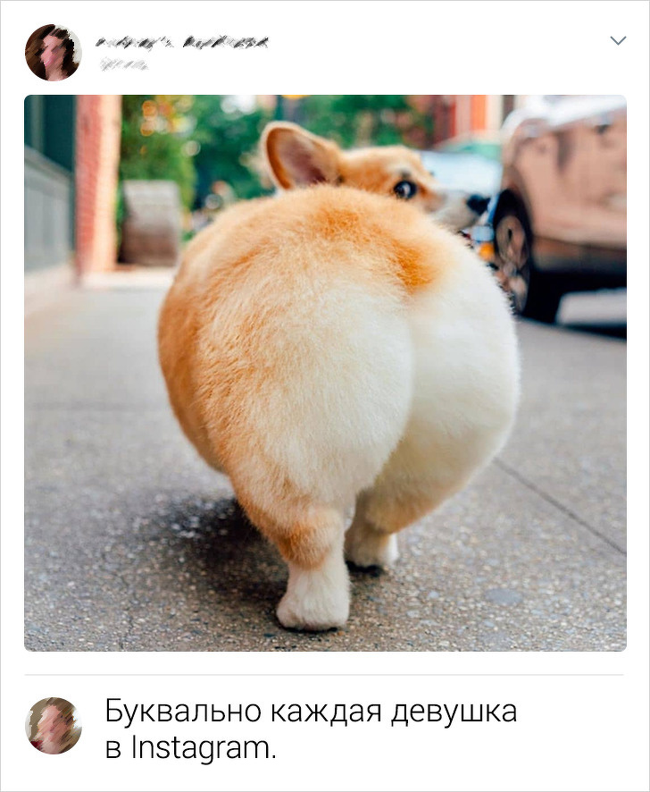 Забавные комменты от пользователей сети с интересными взглядами на мир (16 фото)