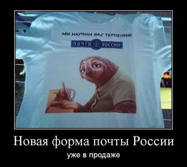 Свежие демотиваторы сентября 2019 года от PAGGY.RU