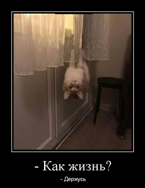 Демотиваторы 2019 года