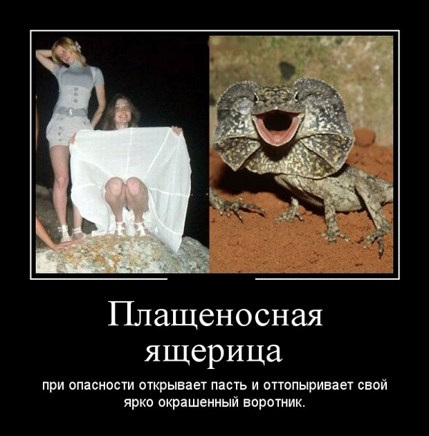 Смешные и свежие демотиваторы (30 демок)