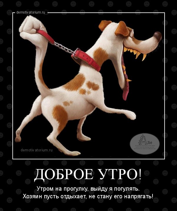 Демотиваторы доброе утро Демотиваторы доброе утро