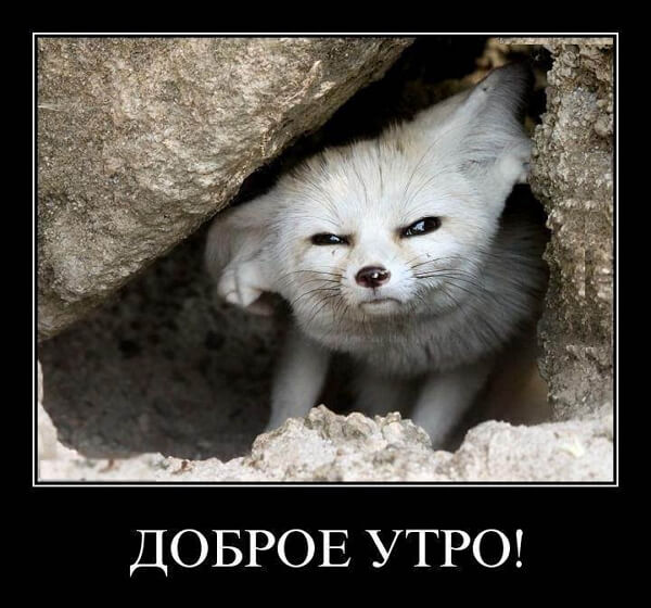 Демотиваторы доброе утро Демотиваторы доброе утро