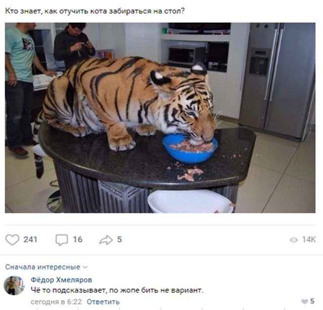 Колкие и забавные комментарии из социальных сетей (20 скриншотов)