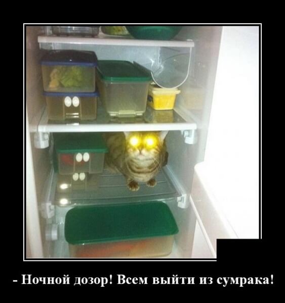 Свежие демотиваторы сентября 2019 года от PAGGY.RU