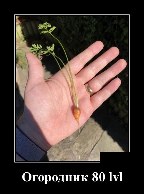 Новейшие демотиваторы сентября 2019 (30 демок)