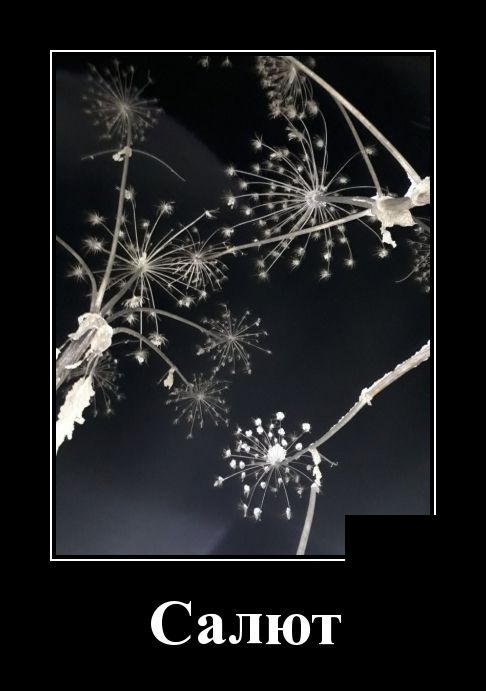 Прикольные демотиваторы сентября (30 демок)