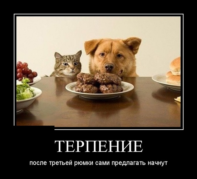 Новые демотиваторы про людей и животных