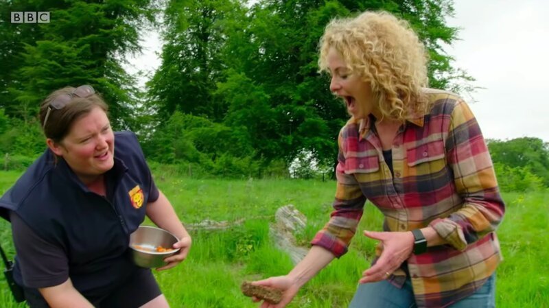 Оператор снял барана и навсегда лишился желания общаться с животными (4 фото + 1 видео) Оператор снял барана и навсегда лишился желания общаться с животными (4 фото + 1 видео)