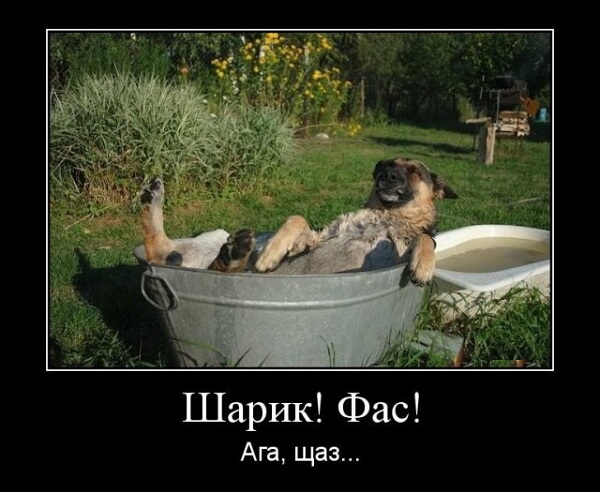 Новые демотиваторы сентября 2019