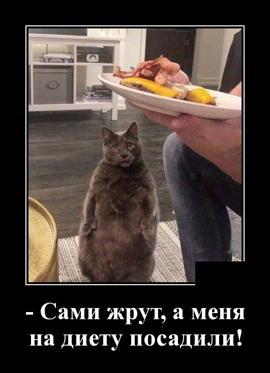 Смешные и очень свежие для 2019 года демотиваторы (30 демок)