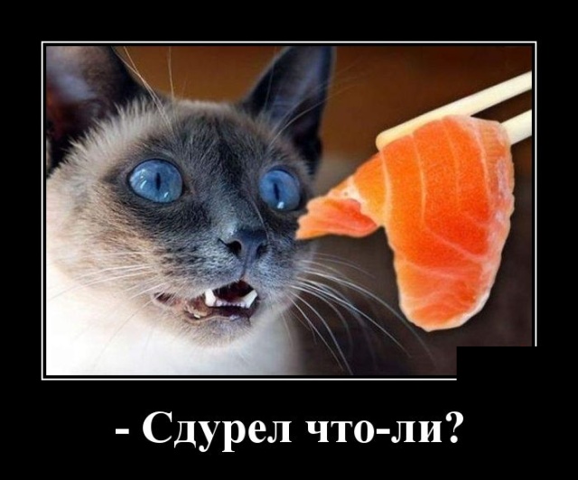 Новейшие демотиваторы сентября 2019 (30 демок)