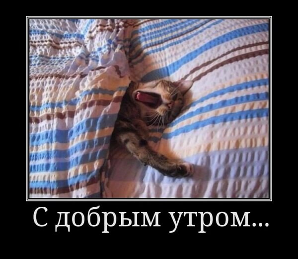Демотиваторы доброе утро Демотиваторы доброе утро