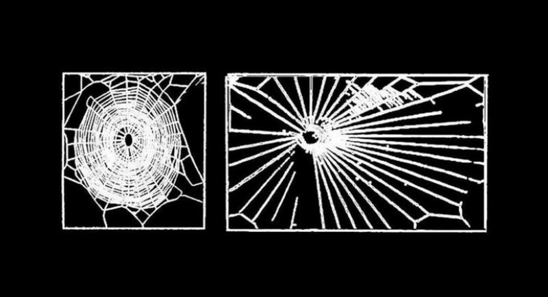 Паутина, которую плетут пауки под кайфом (6 фото)