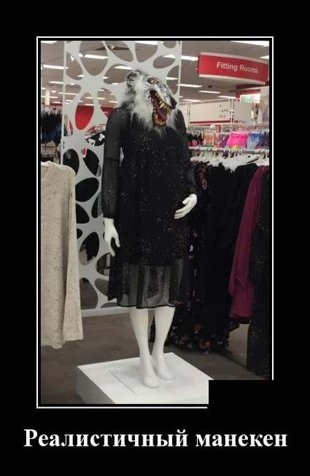 Смешные и очень свежие для 2019 года демотиваторы (30 демок)