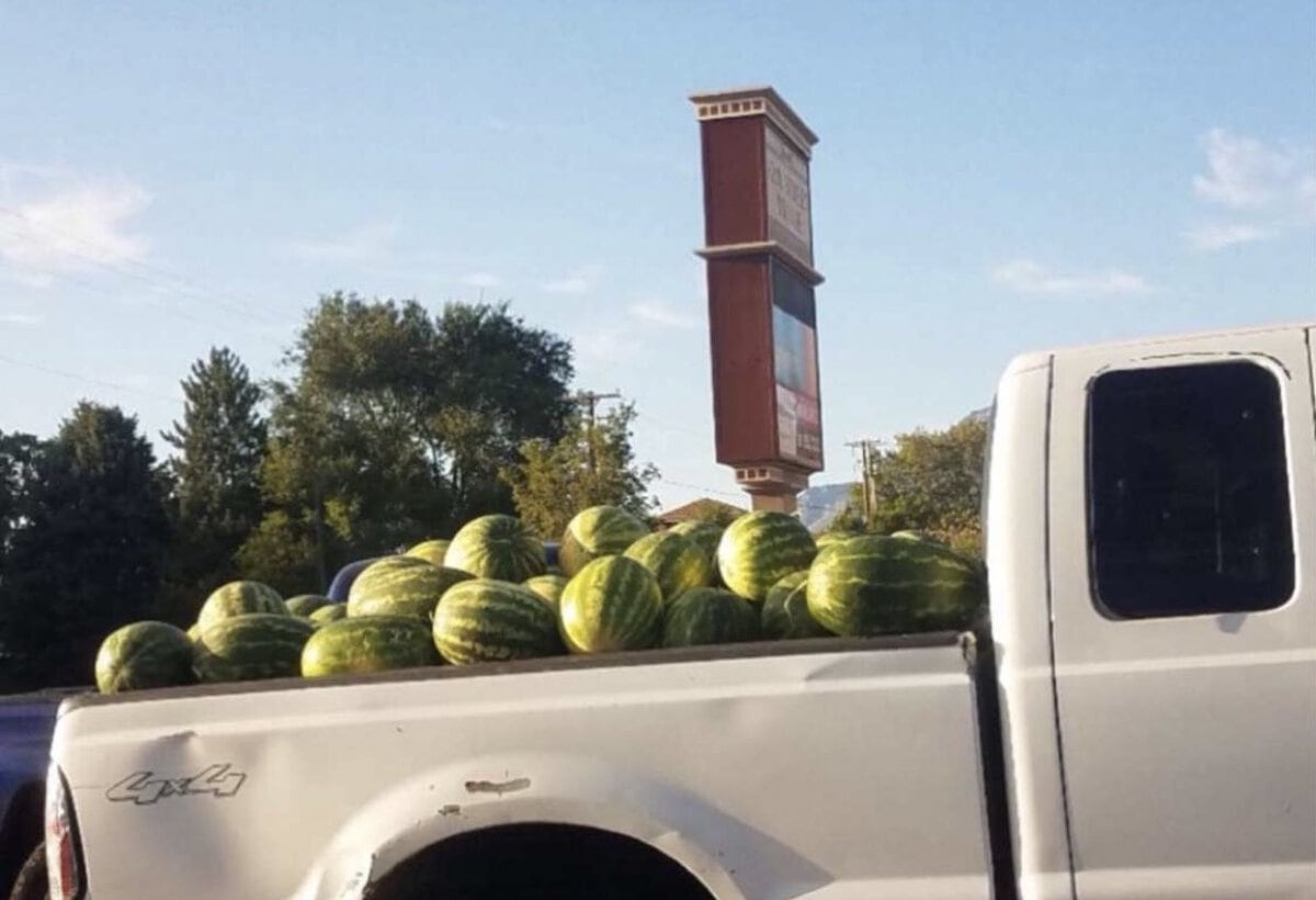 Те самые люди, о которых идет речь в математических задачках для младшеклассников (15 фото) Те самые люди, о которых идет речь в математических задачках для младшеклассников (15 фото)