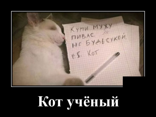 Смешные и очень свежие для 2019 года демотиваторы (30 демок)