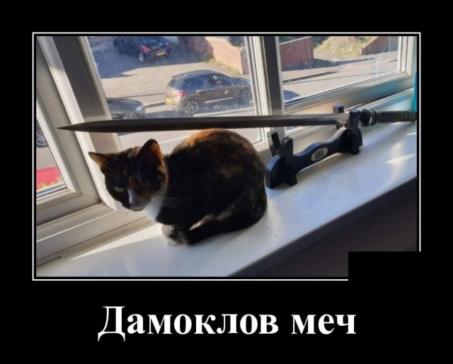 Новейшие демотиваторы сентября 2019 (30 демок)