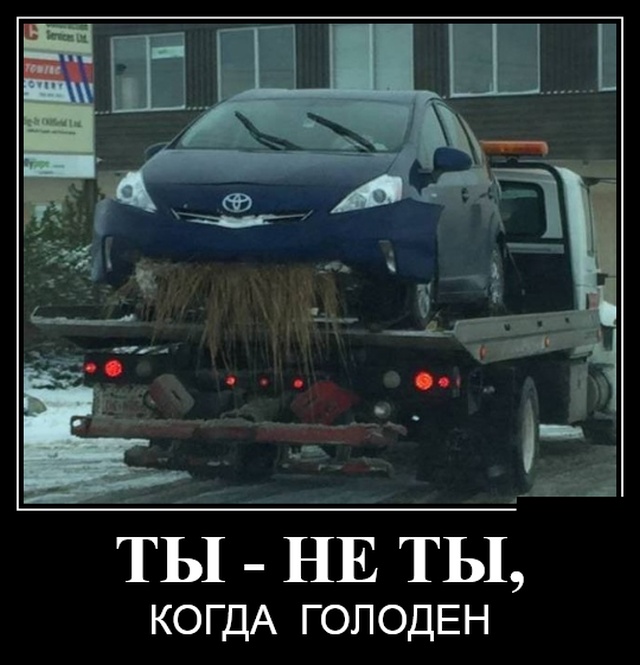 Новейшие демотиваторы сентября 2019 (30 демок)