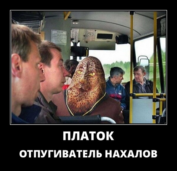 Свежие демотиваторы сентября 2019 года от PAGGY.RU