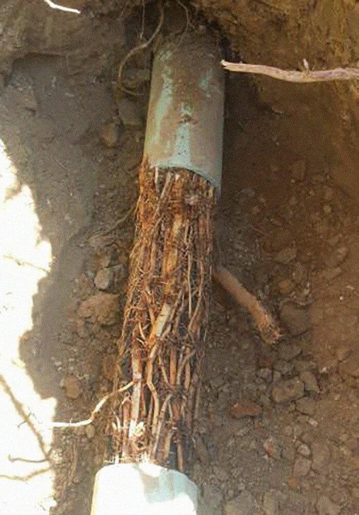 Странные и забавные случаи из жизни сантехника (23 фото) Странные и забавные случаи из жизни сантехника (23 фото)