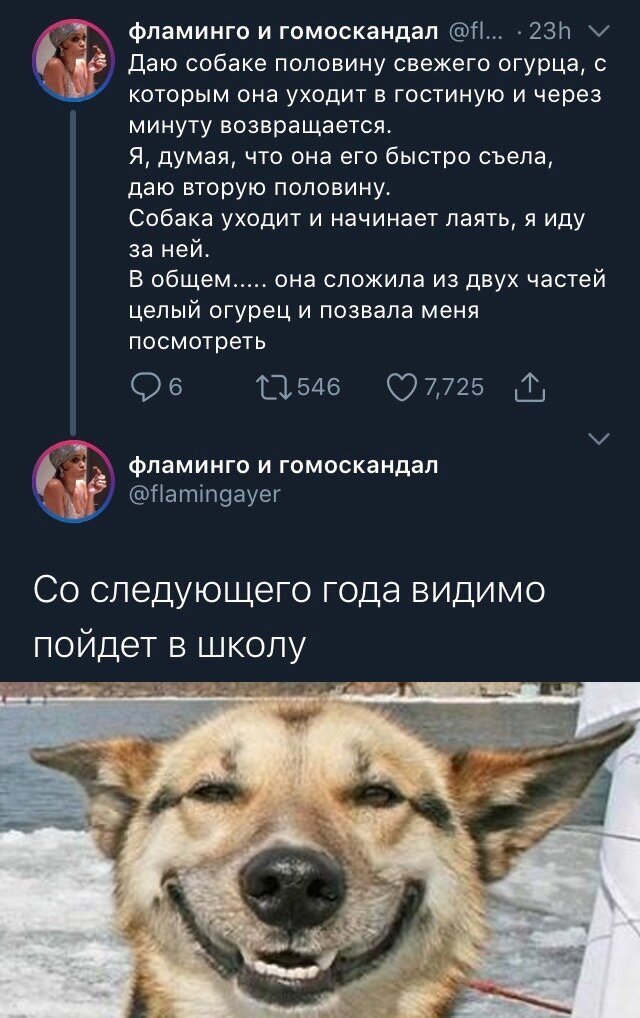 Ещё одна порция оригинальных комментариев в социальных сетях (21 фото)