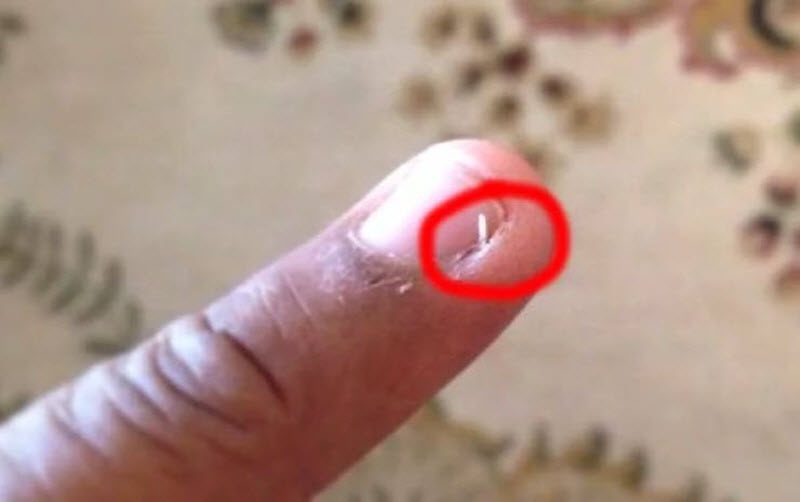 Досадные мелочи и ситуации, которые очень раздражают (39 фото)