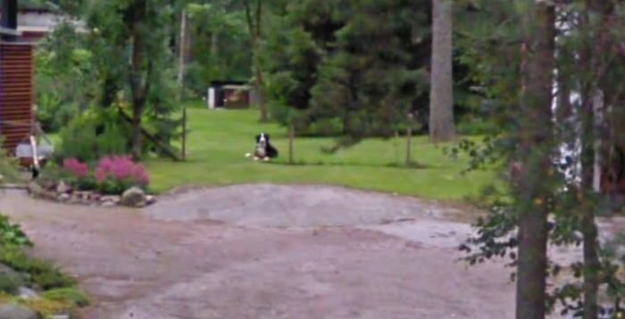 Снимки Google Street View помогают вновь встретиться с любимыми (17 фото)