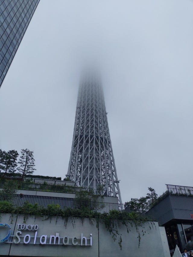 Неудачные моменты, которые удалось сфотографировать (18 фото) Неудачные моменты, которые удалось сфотографировать (18 фото)