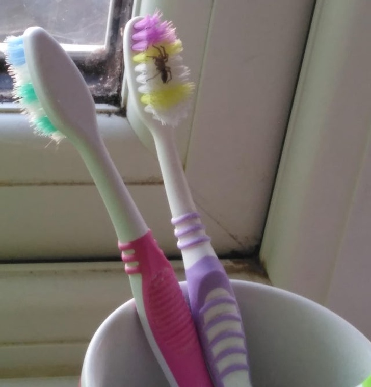 Ситуации, которые выведут из себя даже буддиста (18 фото) Ситуации, которые выведут из себя даже буддиста (18 фото)