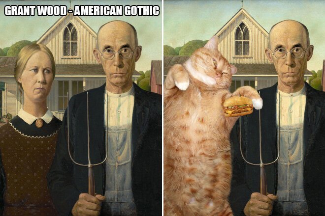 В жизни всегда есть место для рыжего кота! (22 фото) В жизни всегда есть место для рыжего кота! (22 фото)