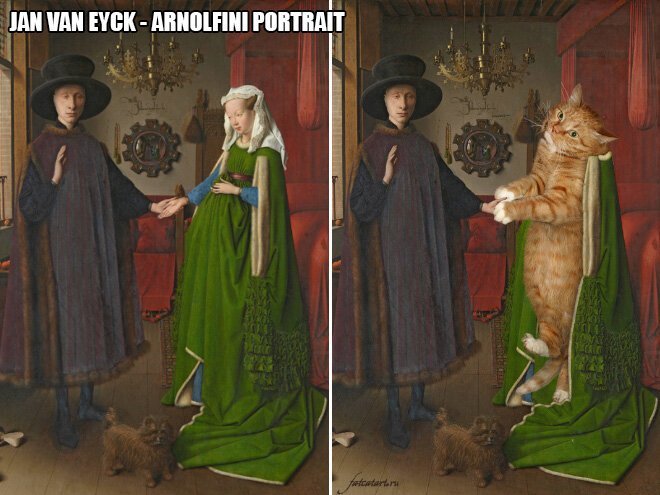 В жизни всегда есть место для рыжего кота! (22 фото) В жизни всегда есть место для рыжего кота! (22 фото)