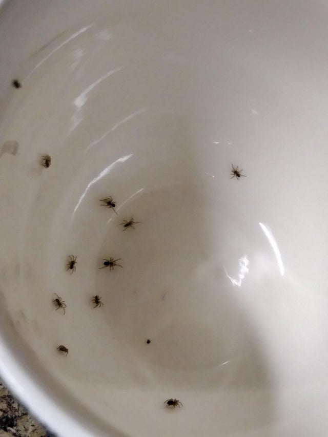 Неудачные моменты, которые удалось сфотографировать (18 фото) Неудачные моменты, которые удалось сфотографировать (18 фото)