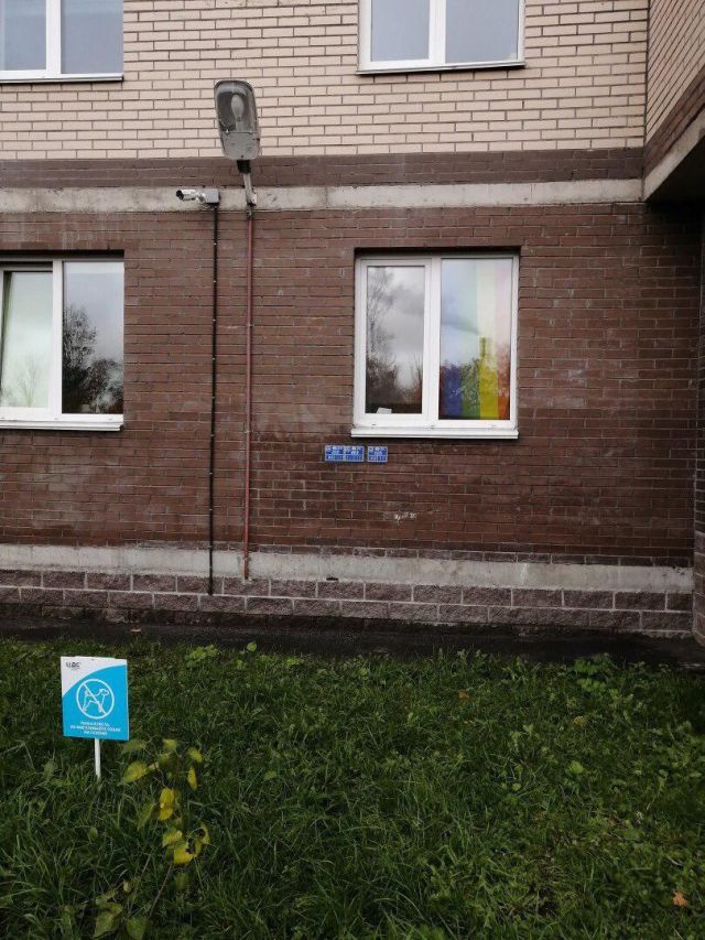 В Питере бдительный прохожий заметил "запрещенную" символику в окне и вызвал полицию (3 фото)