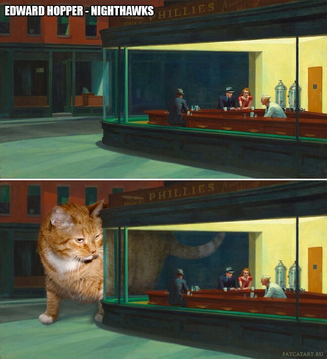 В жизни всегда есть место для рыжего кота! (22 фото) В жизни всегда есть место для рыжего кота! (22 фото)