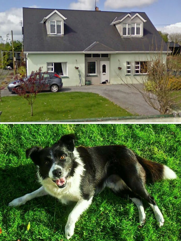 Снимки Google Street View помогают вновь встретиться с любимыми (17 фото)