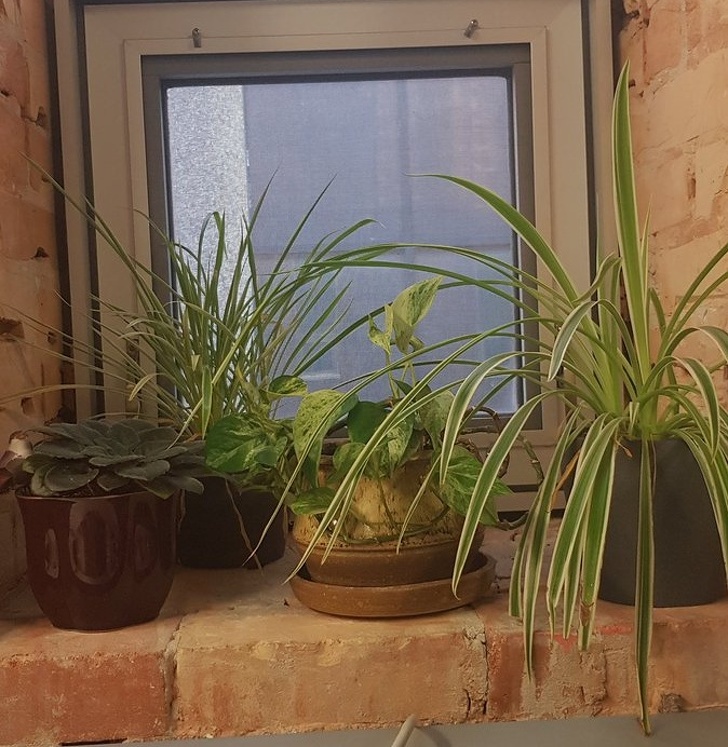 Пользователи, которые осознали, что повзрослели (16 фото)