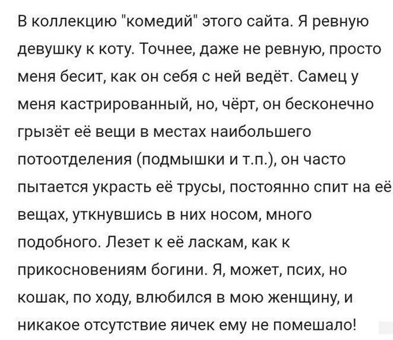 Ревнивая женщина уличит измену лишь взглянув на вашу страничку (10 фото)