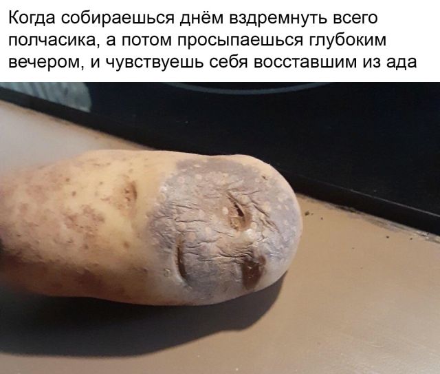 Новый мем: страдающая картошка (13 скриншотов)