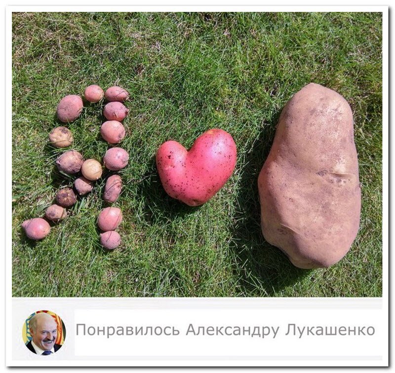 Смешные и необычные комментарии в социальных сетях (21 фото)