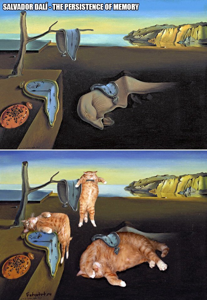 В жизни всегда есть место для рыжего кота! (22 фото) В жизни всегда есть место для рыжего кота! (22 фото)