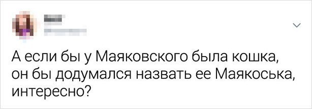 Забавные твиты от людей с нестандартным мышлением (16 фото)